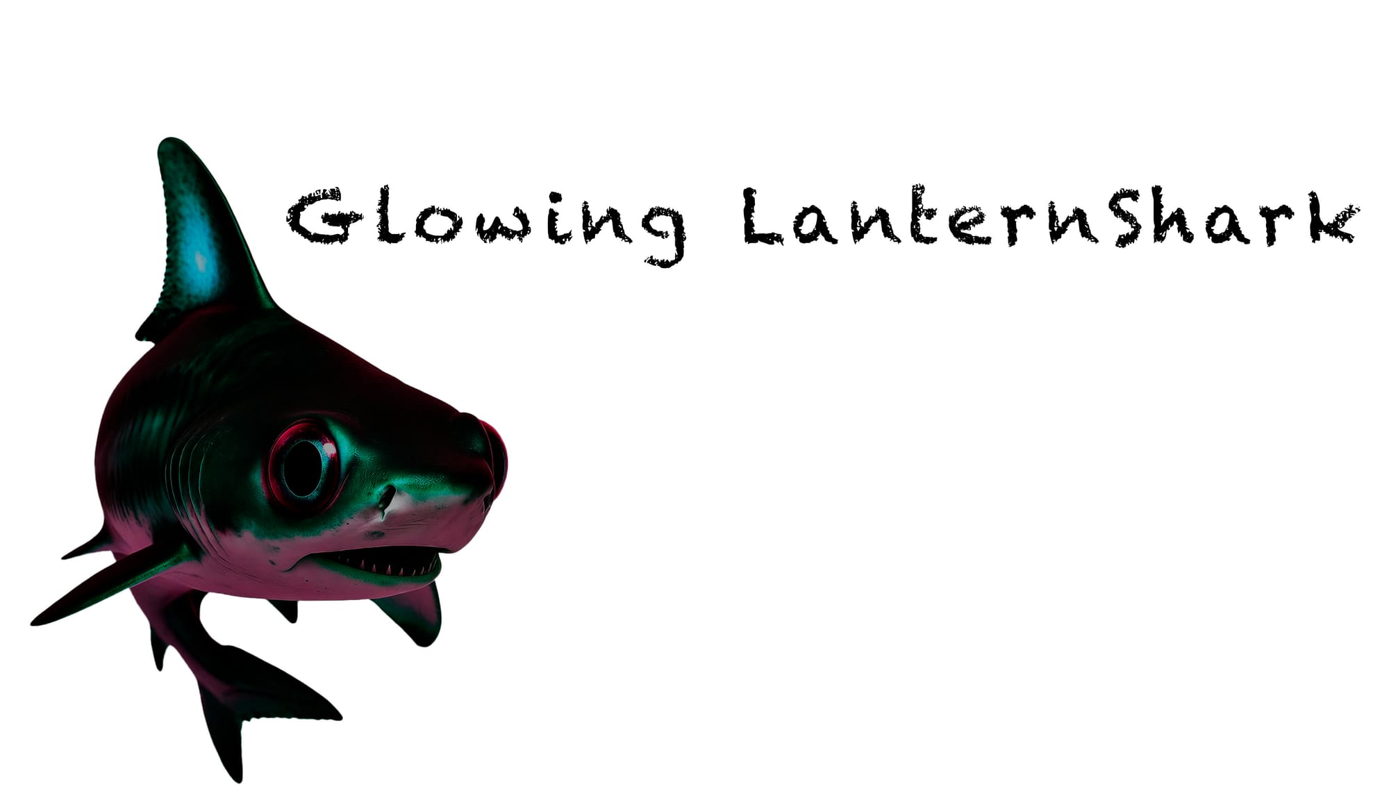 Australian Lanternshark