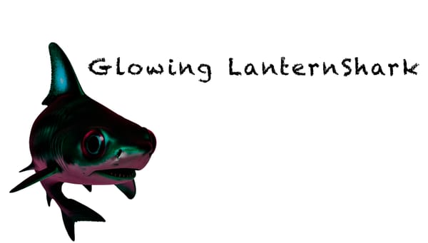 Australian Lanternshark